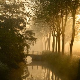 Typical Dutch  trees reflect in the ditch along the road. von Wilma van Zalinge