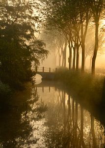 Typical Dutch  trees reflect in the ditch along the road. von Wilma van Zalinge