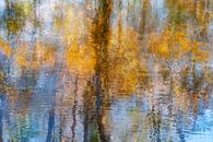 Reflectie - abstracte foto van herfstbomen in het water van Lisette Geel thumbnail