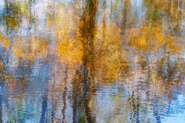 Reflectie - abstracte foto van herfstbomen in het water van Lisette Geel