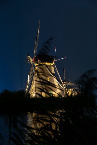 Kinderdijk von Kasper middel