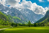Logar Valley in de Kamnik Savinja Alpen in Slovenië tijdens de lente van Sjoerd van der Wal Fotografie thumbnail