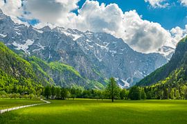 Vallée de Logar dans les Alpes de Kamnik Savinja en Slovénie au printemps sur Sjoerd van der Wal Photographie