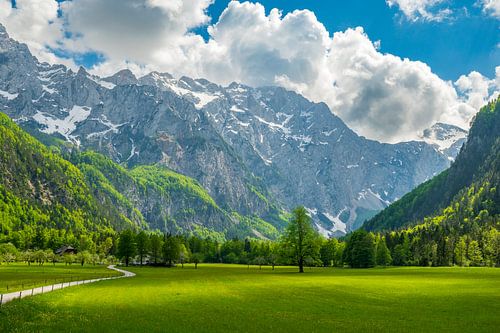 Logar Valley in de Kamnik Savinja Alpen in Slovenië tijdens de lente