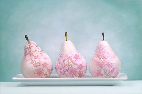 Perenbloesems