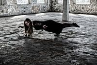 floating body