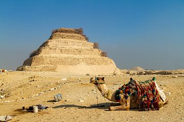 De piramiden van Gizeh van Roland Brack