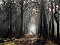 MBT im nebligen Wald