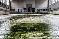 Piscine Crachoir