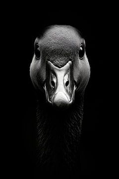 Gans van Poster Art Shop