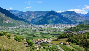 Blick auf Bozen im Frühling