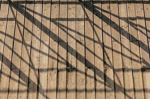 Shadows on the Beach