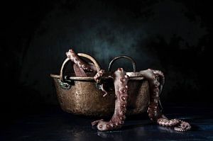 Octopus van Anoeska Vermeij Fotografie
