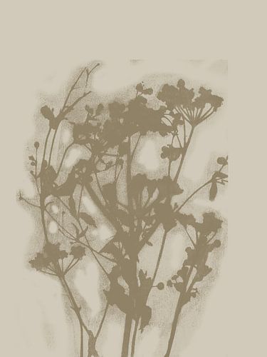 Minimalist flowers in neutral colors by Dina Dankers