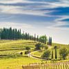 Evening in Tuscany by eric van der eijk