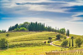 Evening in Tuscany by eric van der eijk