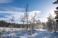 De Ugchelse Berg-Het Leest in de sneeuw#1 von DuFrank Images Miniaturansicht