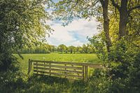 Nationaal Park Drentsche Aa