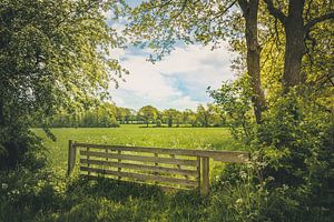 Parc national de Drentsche Aa