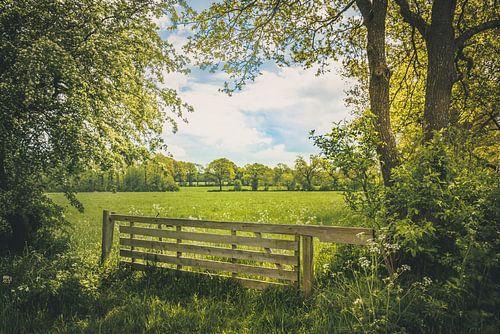 Nationalpark Drentsche Aa