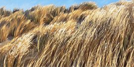 A breath of fresh air by the sea: the rhythm of marram grass in the dunes by Dirk van der Ven