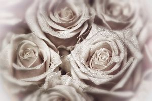 Elegante Rozen - Parel Rosé van marlika art
