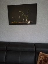 Klantfoto: Stilleven in 't groen (gezien bij vtwonen) van Monique van Velzen, op canvas
