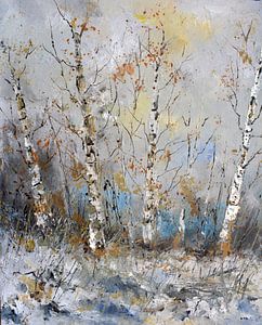 Aspen-Bäume im Winter