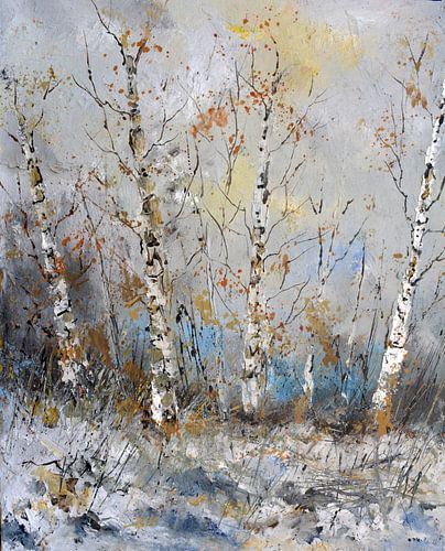 Aspenbomen in de winter