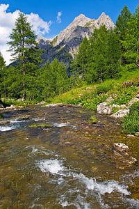 Mountain river in the Alps