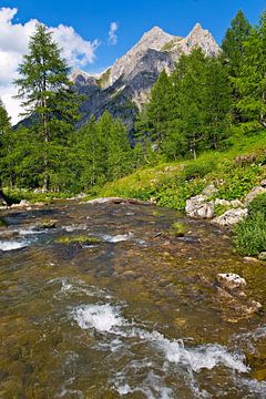 Berg rivier in de Alpen