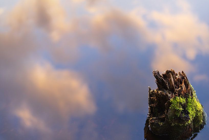 Appelbergen nature reserve - Groningen (Netherlands) by Marcel Kerdijk