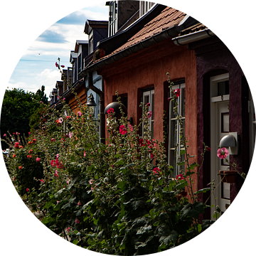 Pittoresk straatje in Aarhus, Denemarken