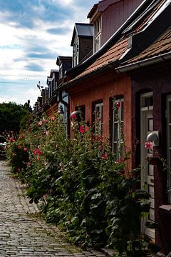 Pittoresk straatje in Aarhus, Denemarken van Anne Ponsen