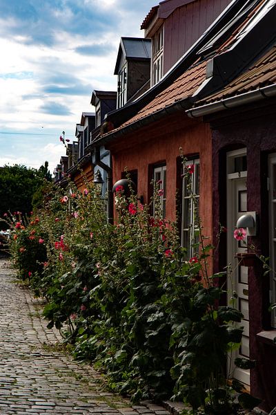 Malerische Straße in Aarhus, Dänemark von Anne Ponsen