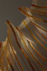 Sunshine by Nanda Engel