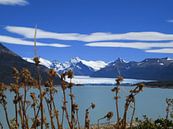 Perito Moreno Gletscher van Heike und Hagen Engelmann thumbnail