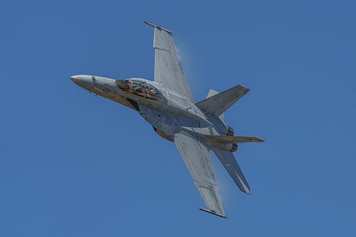 U.S. Navy Rhino Demonstration Team 2023.