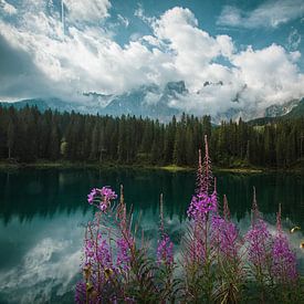 Lago Di Carezza (der schönste See Italiens) von Dennis Langendoen