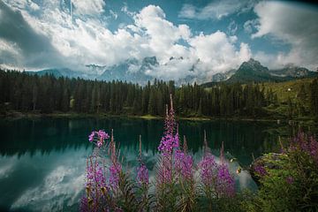 Lago Di Carezza (Het mooiste meer van Italië) van Dennis Langendoen