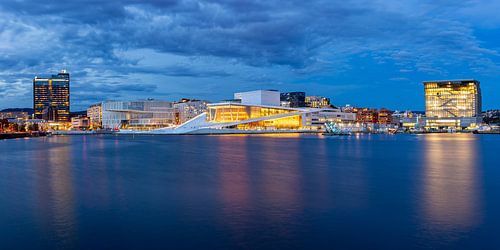 Skyline van Oslo, Noorwegen van Adelheid Smitt