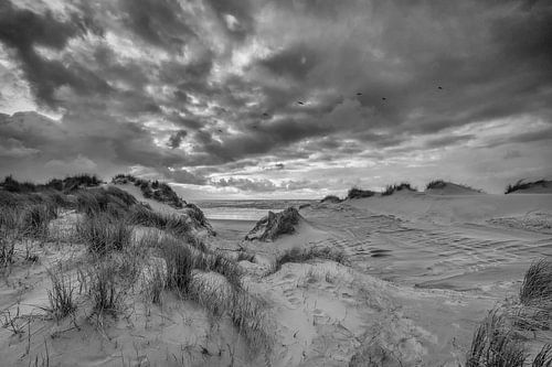 Stormwolken boven de duinen van Zeeland!