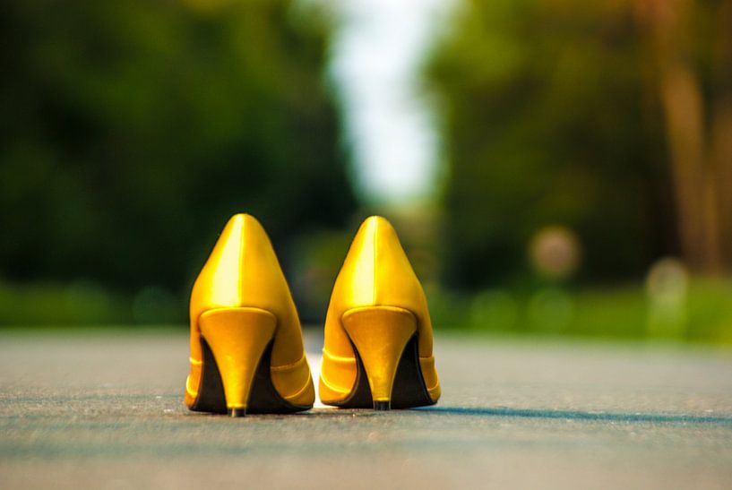 Yellow pumps on the highway by Norbert Sülzner