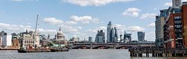 Londoner Panorama von Richard Wareham