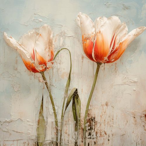 Des tulipes pour les amoureux des fleurs