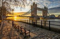 Tower Bridge in London by Dieter Meyrl thumbnail