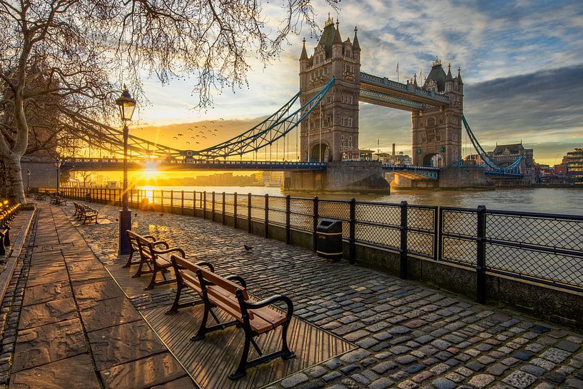 Tower Bridge in London by Dieter Meyrl