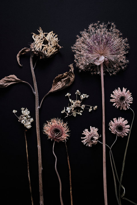 tuin van gedroogde zomerbloemen van <span class="secondary-font">Karel Ham</span>