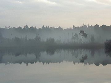 Weerspiegeling in ochtendnevel van Mirjam van Vooren