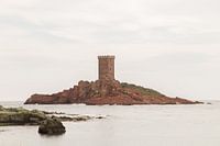 The black rocks